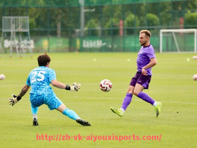 爱游戏体育官网-皇马西甲联赛2016至2017赛季表现全景分析 爱游戏体育官网-皇马西甲联赛2016至2017赛季表现全景分析